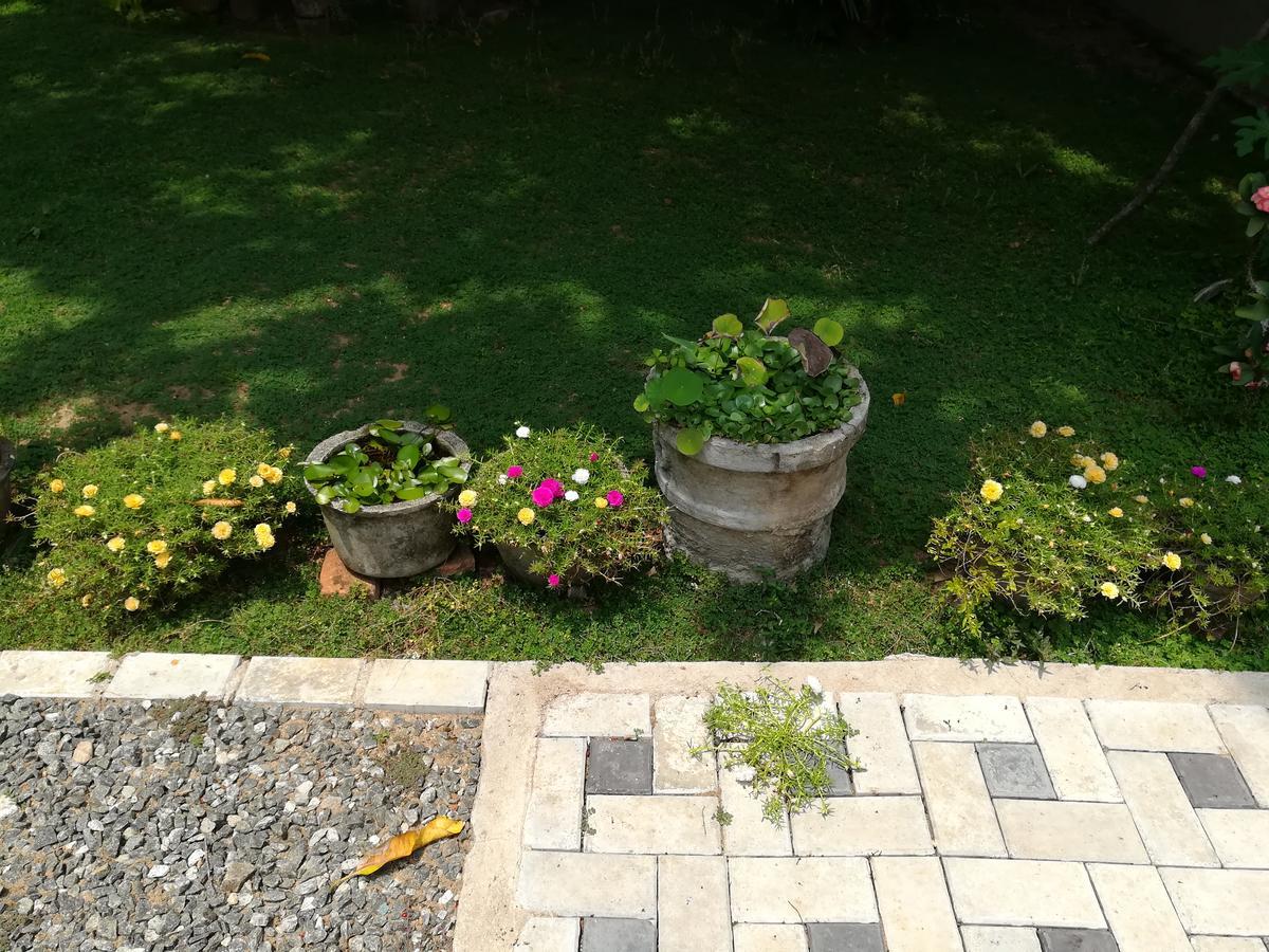 Sea Breeze Hotel Bentota Luaran gambar